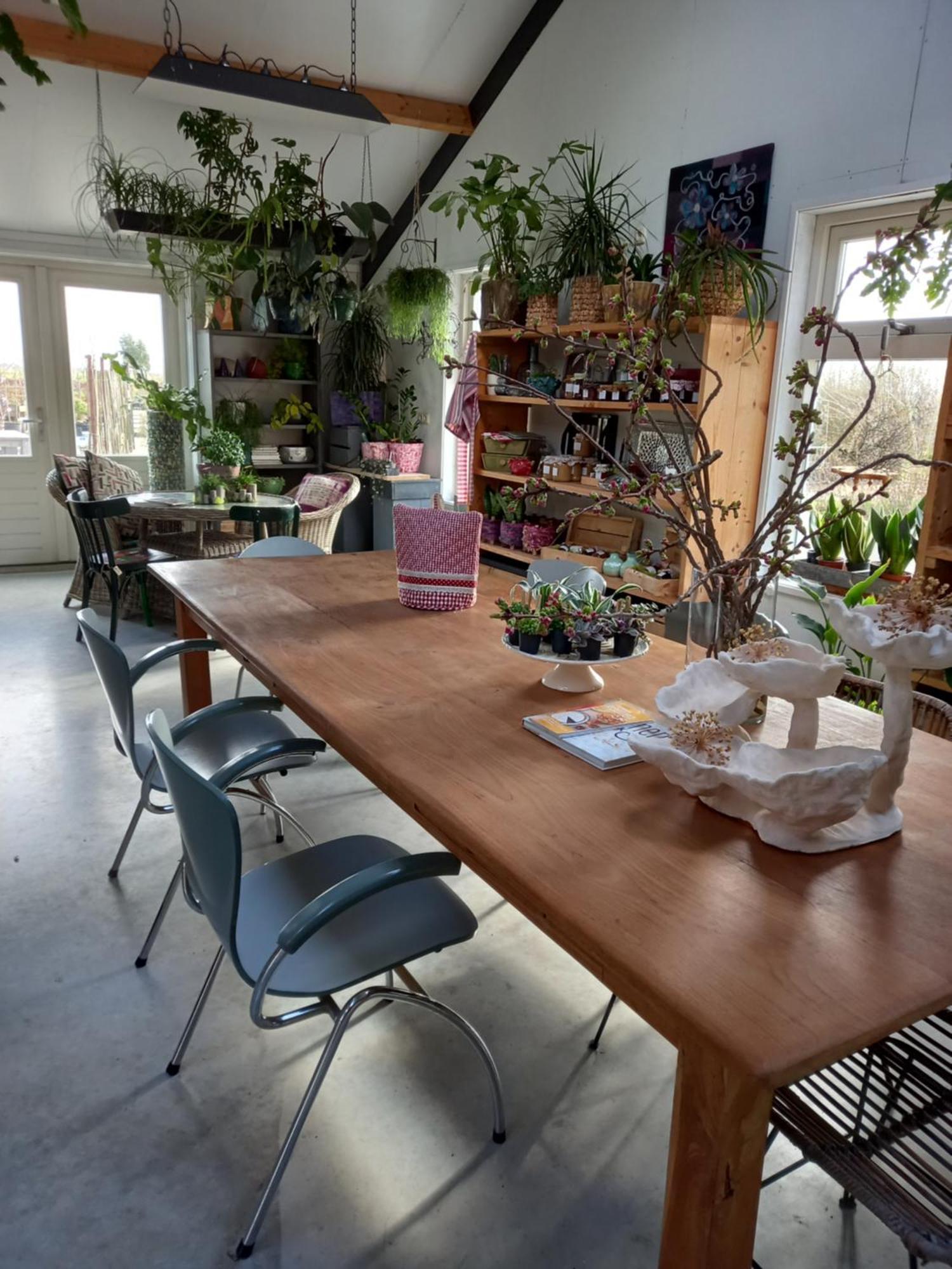B&B Aan De Fjildwei Rinsumageest 외부 사진